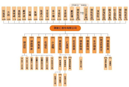 御家匯IPO周三上會 年入11億背后，面膜業務與軟件及輔助設備批發的商業邏輯
